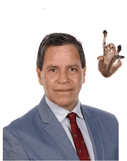 César  Arévalo - Agente inmobiliario en Telde