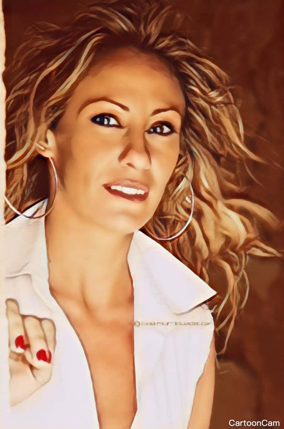 Carmen Martinez Navarro  - Agente inmobiliario en Gijón