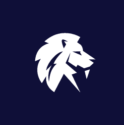 Lion Capital Group