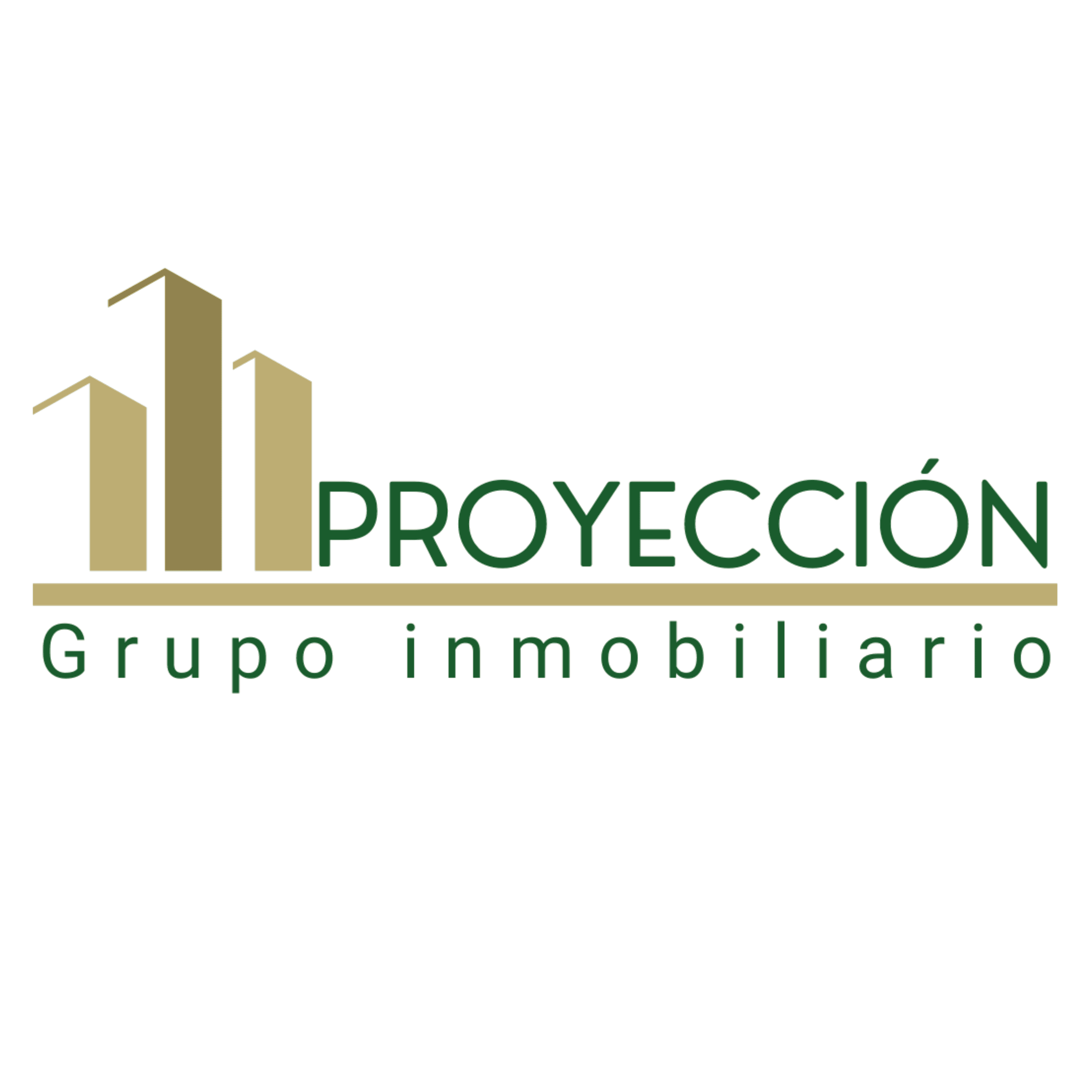 Proyección Grupo Inmobiliario 