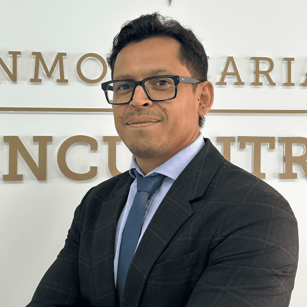 Manuel Lacer Illera - Agente inmobiliario en Madrid