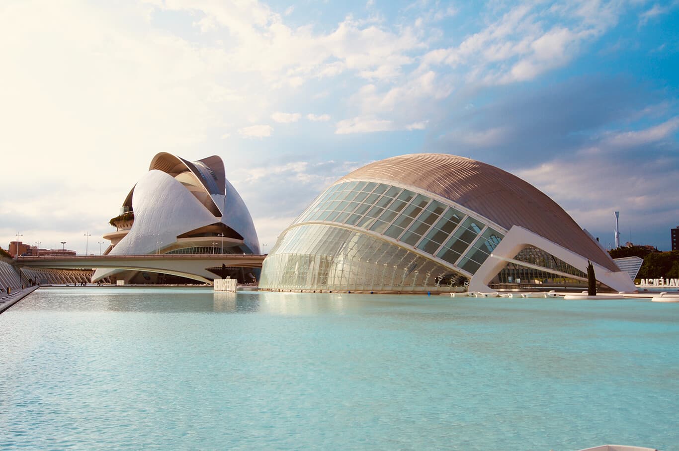 Edilson De Freitas - Agencia inmobiliaria en Ciutat Vella