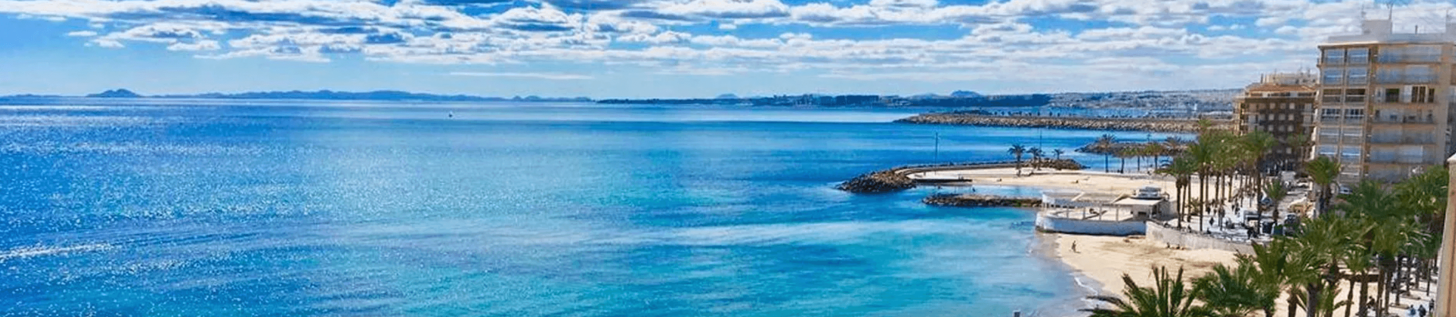 Eduardo  Curbelo - Agente inmobiliario en Torrevella