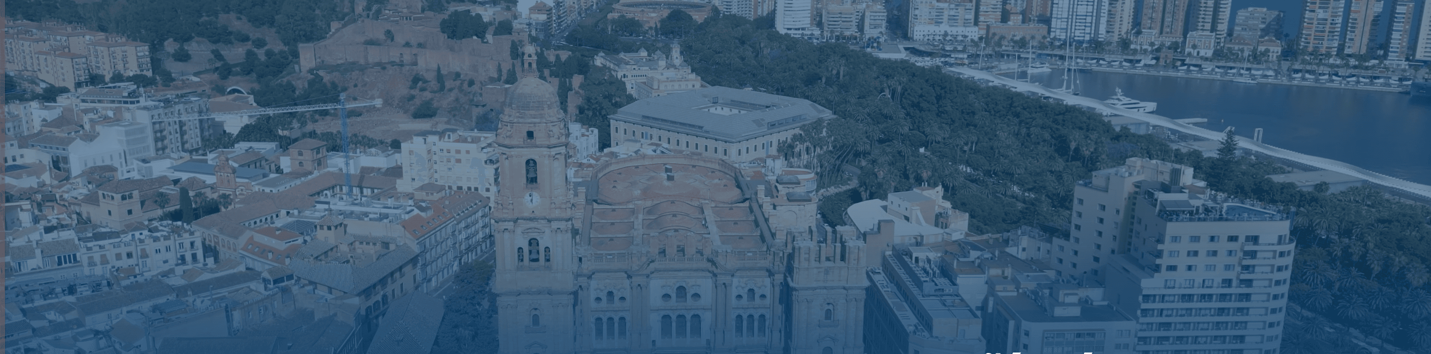 María José  León - Agente inmobiliario en Distrito Centro