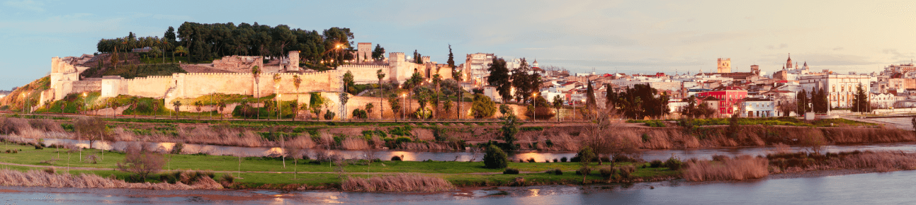 Apinavarro - Agencia inmobiliaria en Badajoz