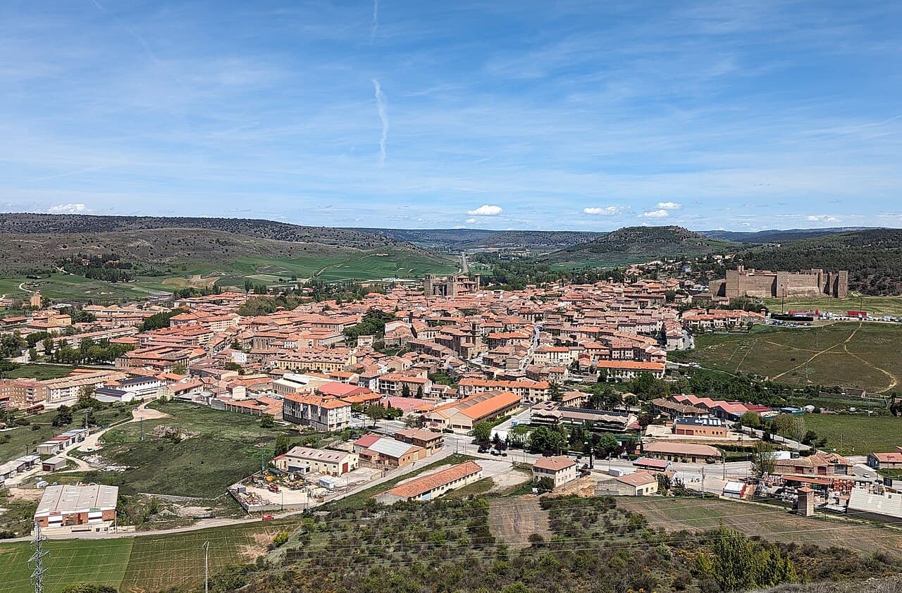 Alberto Domínguez Cañamón - Agente inmobiliario en Sigüenza