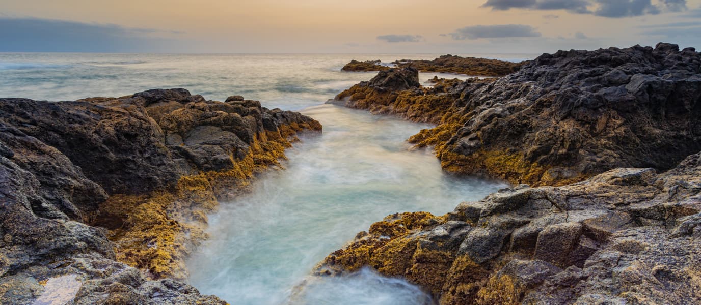 IAD - Tai Kong Trimon - Agencia inmobiliaria en Tacoronte