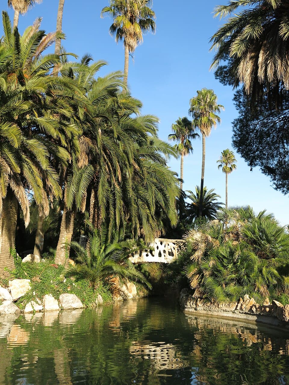 María Laura Regueira - Agente inmobiliario en Sant Boi de Llobregat