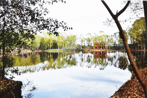 Ana López Delgado - Agente inmobiliario en Orense