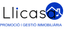Llicasa Promoción y Gestión Comercial SL