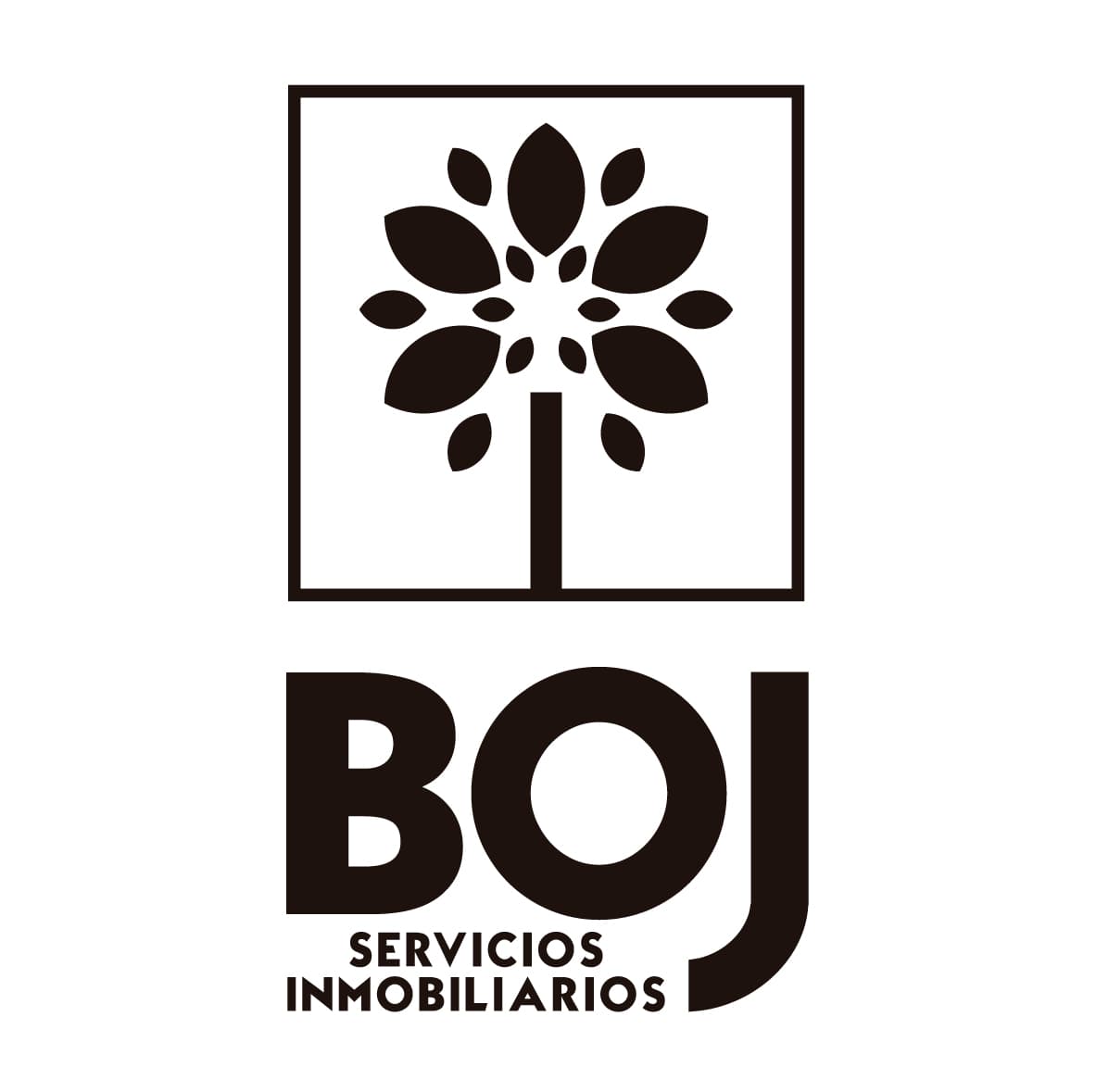 Boj Servicios Inmobiliarios