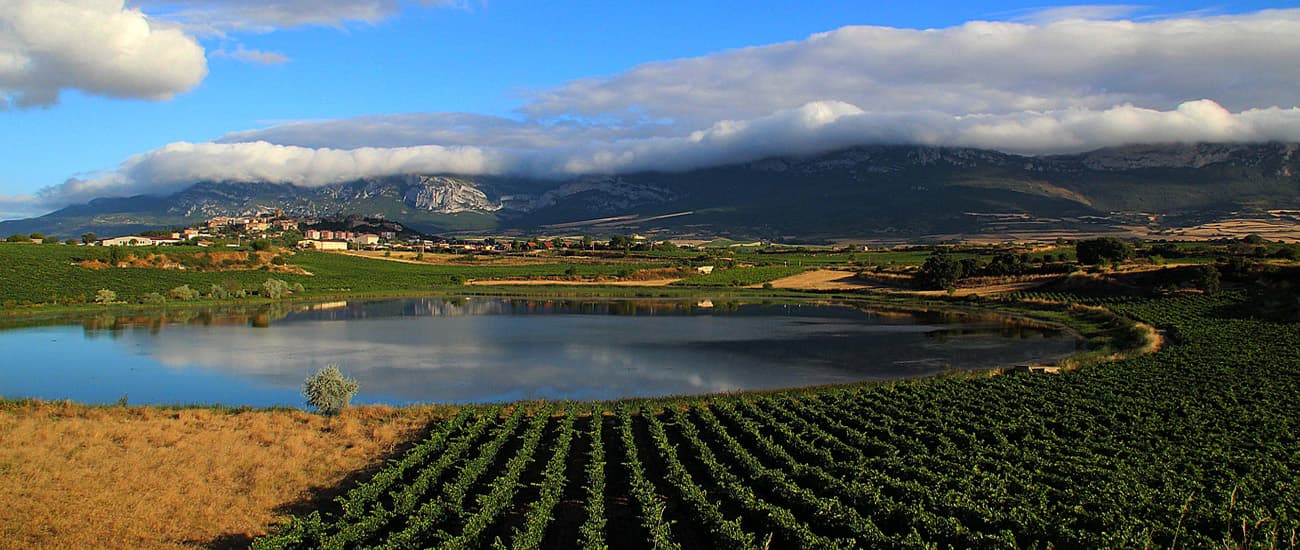 Javier Nájera Ramírez - Agente inmobiliario en Laguardia