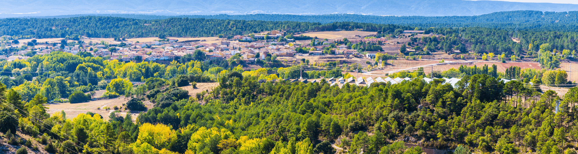 Tomás Juan Muñoz Benito - Agente inmobiliario en Collado Villalba