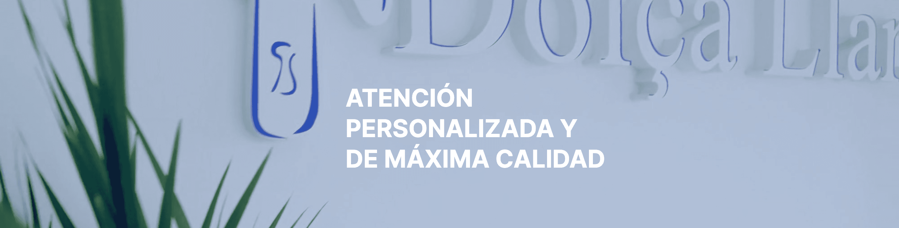 Dolça Llar - Agencia inmobiliaria en Barcelona