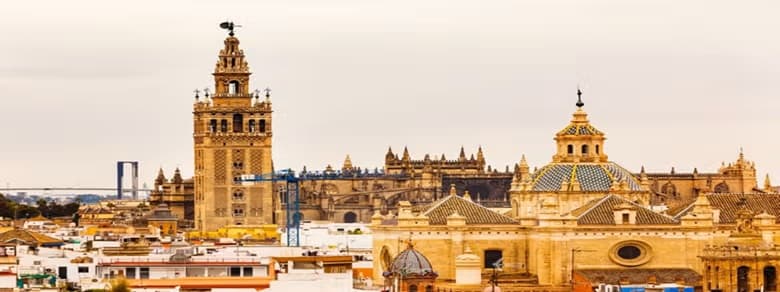 Atarazana XXI - Agencia inmobiliaria en Casco Antiguo