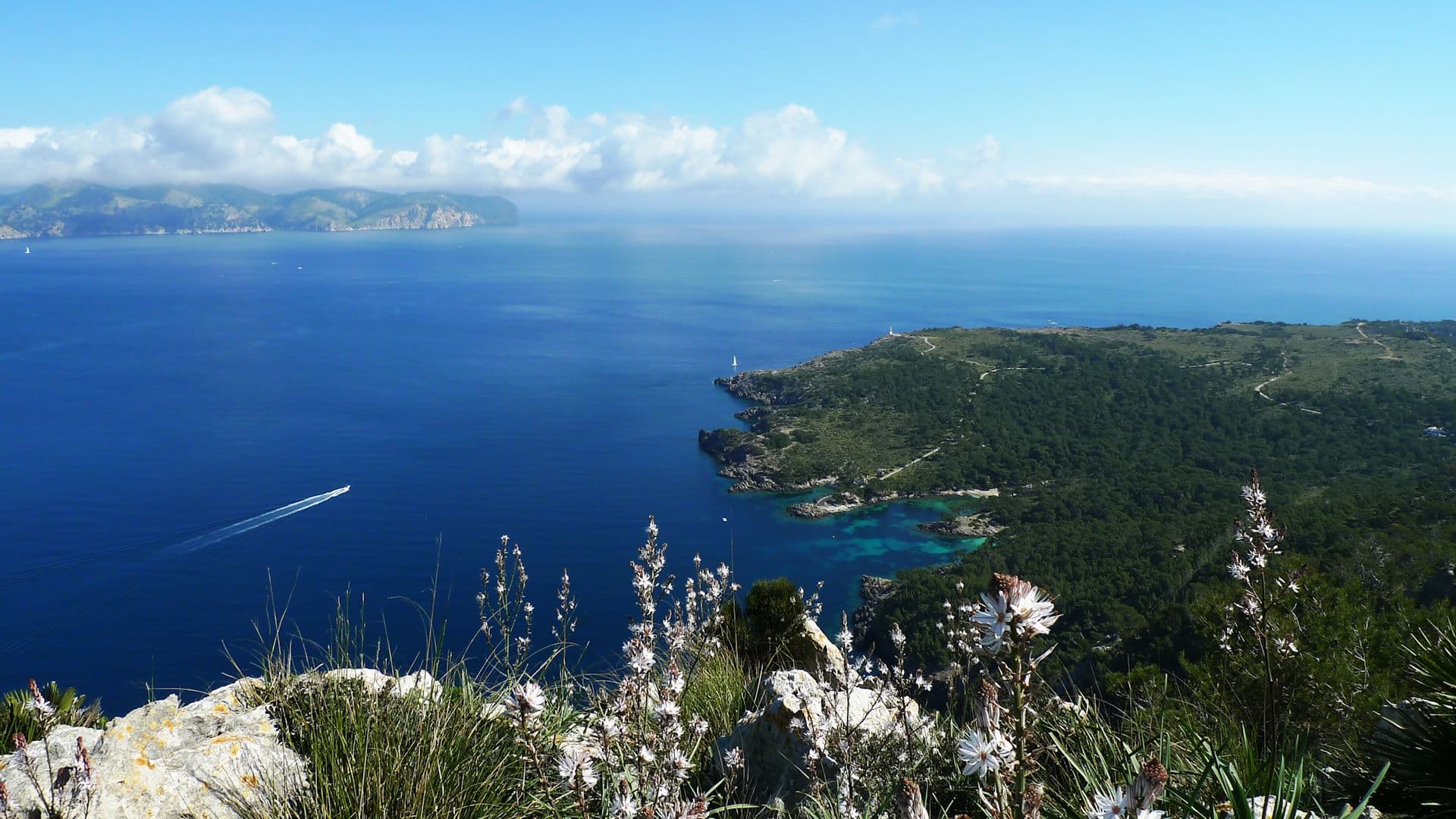 39North 3East Real Estate - Agencia inmobiliaria en Pollença