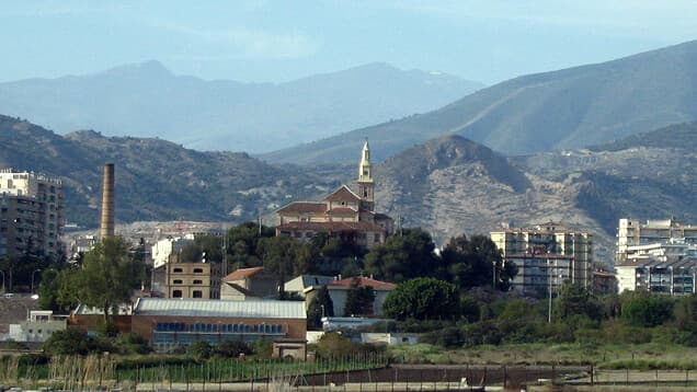 Fernando Ruiz Maldonado - Agente inmobiliario en Motril