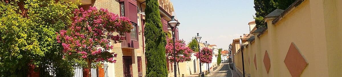 Braulio Blanco Carroza - Agente inmobiliario en Griñón