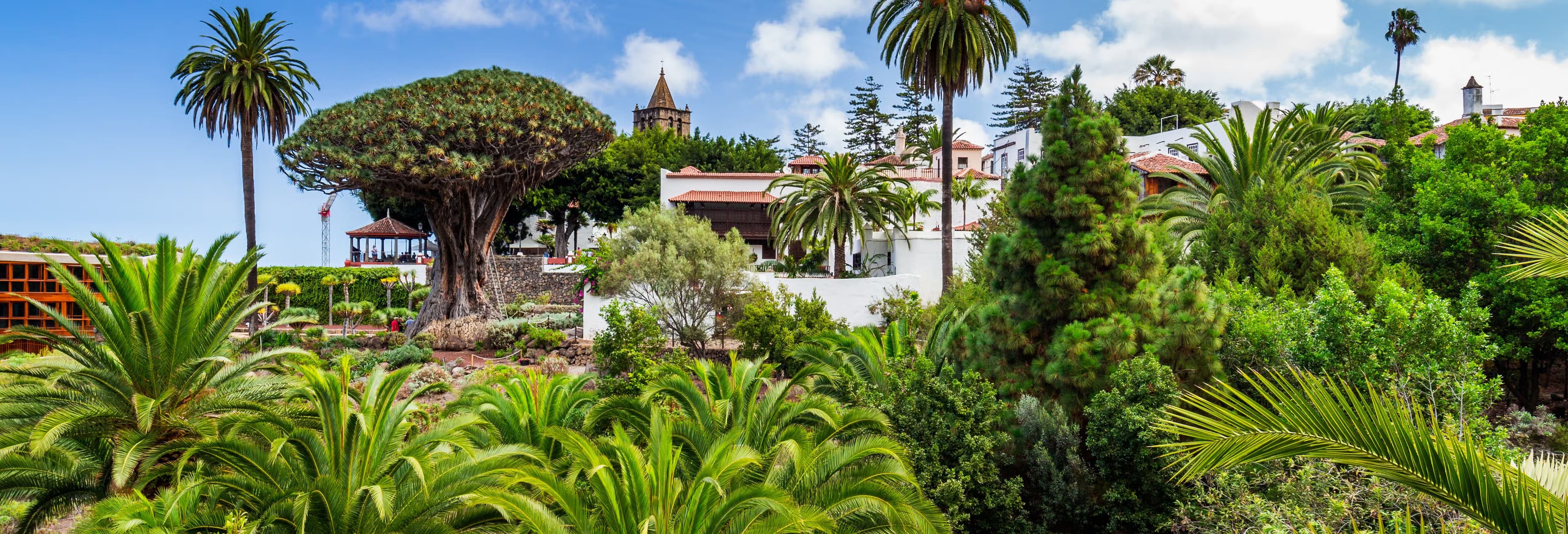  Marisol Luis  Gutiérrez - Agente inmobiliario en Icod de los Vinos