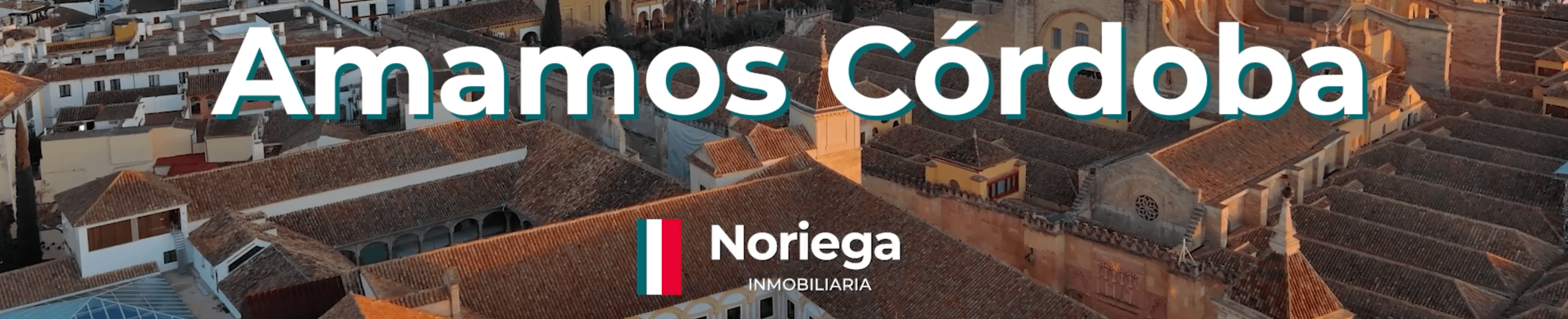 Ángel Gabriel  Raya García - Agente inmobiliario en Córdoba