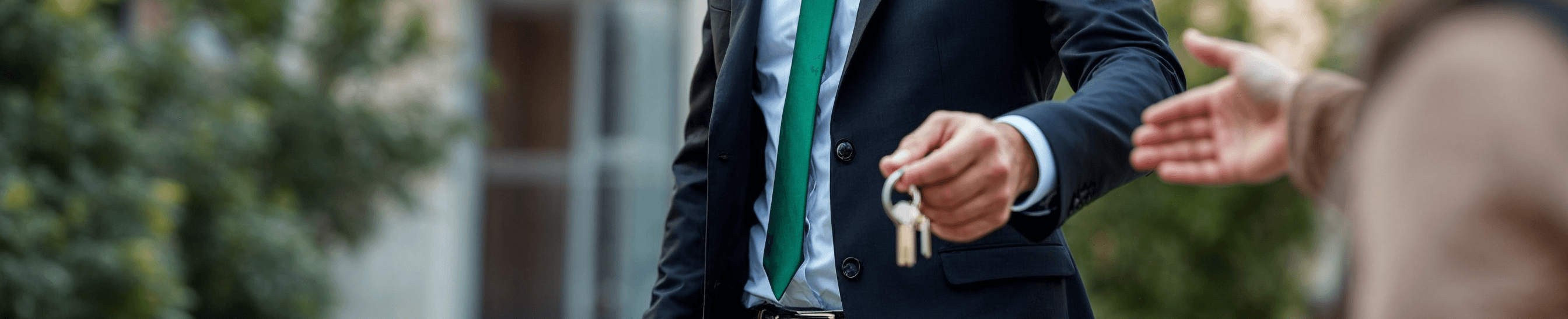 David  Fernádez Cobos - Agente inmobiliario en Griñón