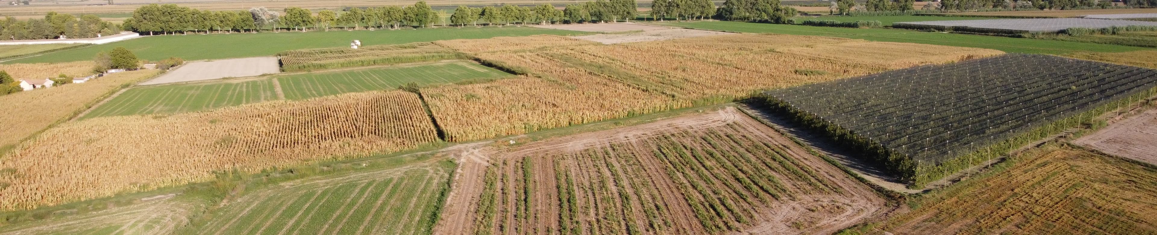 Finques Nabau - Agencia inmobiliaria en Mollerussa