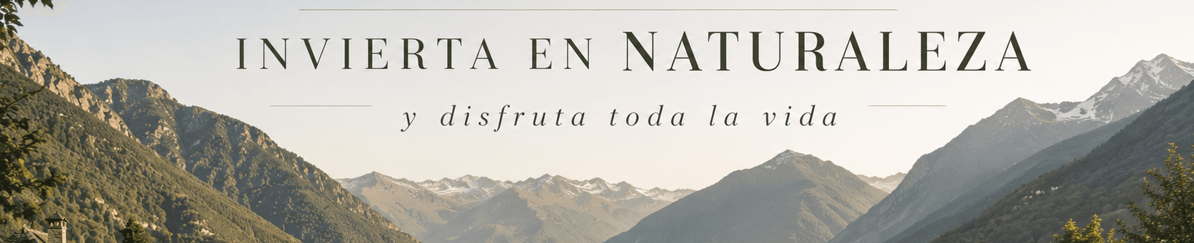 Arancasa - Agencia inmobiliaria en Vielha