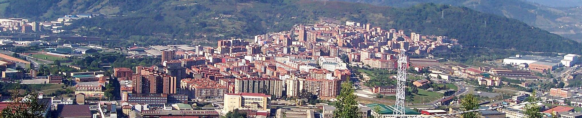 Iñigo  Alzola González de Mendibil - Agente inmobiliario en Basauri