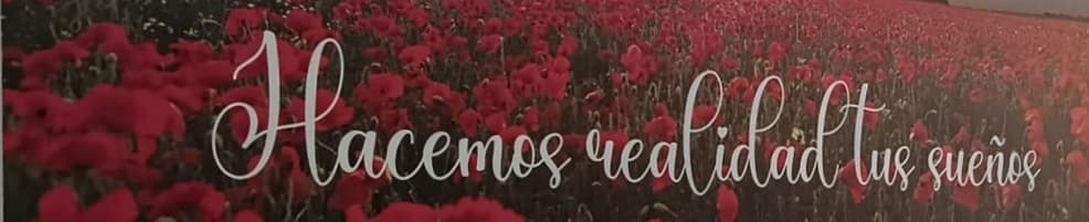 Silvia Pérez Esturillo - Agente inmobiliario en Centro