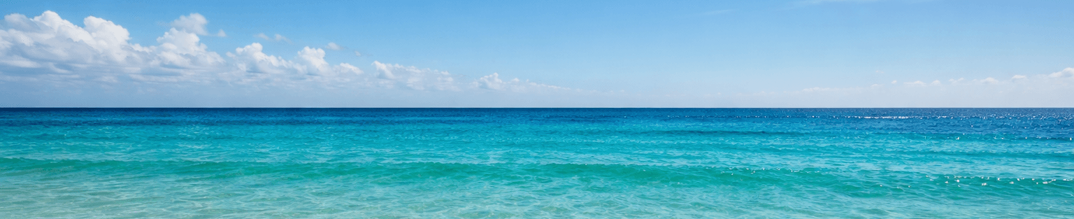 Silvia Muñoz Lizarbe - Agente inmobiliario en Bellreguard