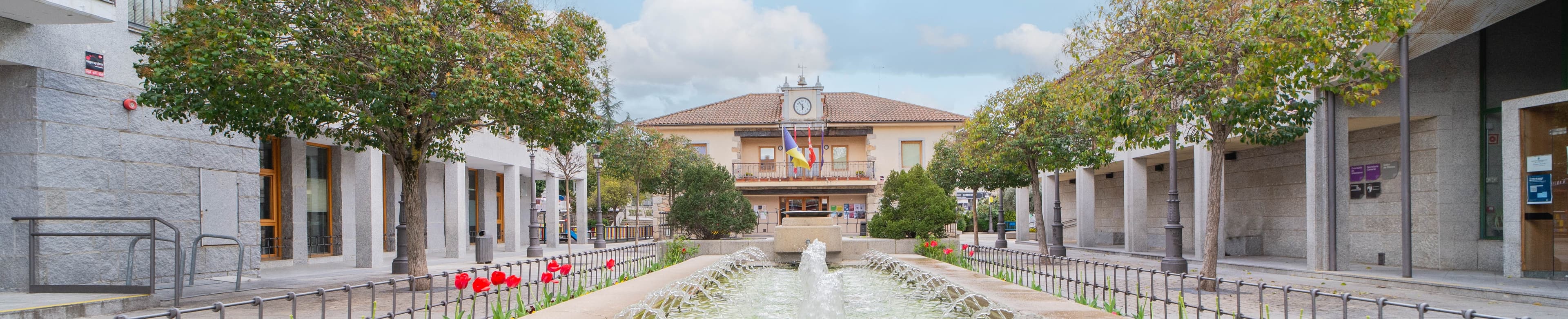 Pilar Jiménez - Agente inmobiliario en Torrelodones