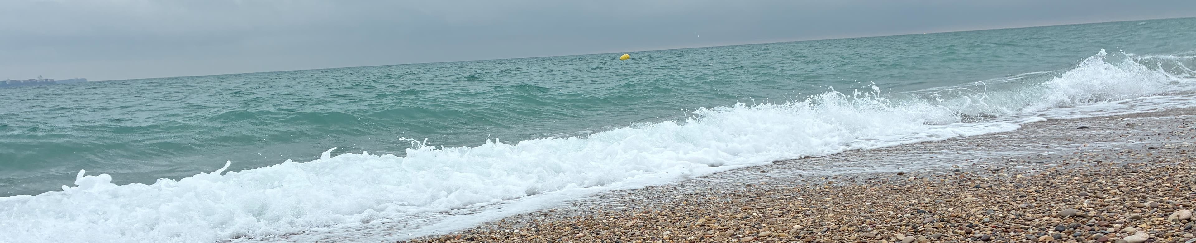 Estudio Reino VLC - Agencia inmobiliaria en València