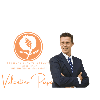 Agente inmobiliario en Centro: Valentino Pape