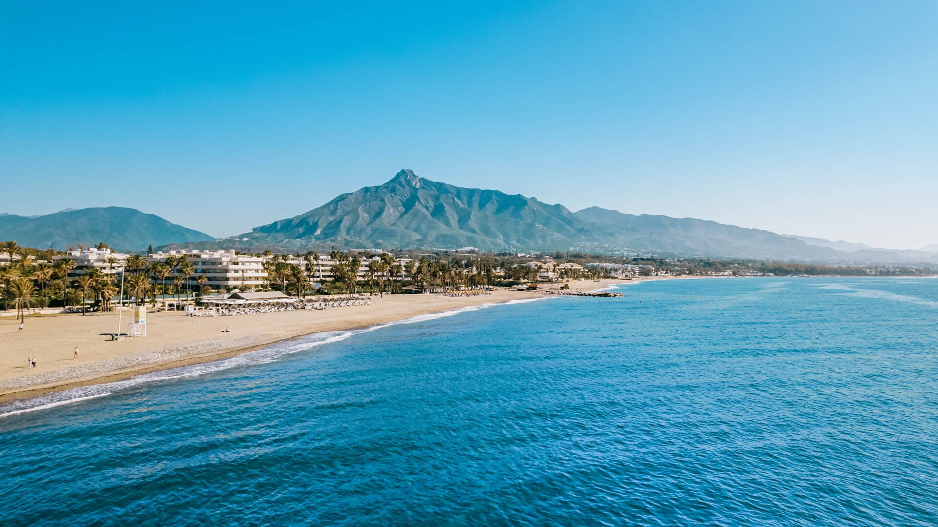 Eunice Rivera Calixto - Agente inmobiliario en Torre del Mar