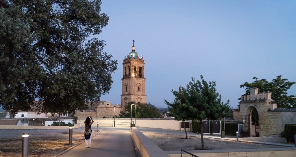 Tu Finca Real Estate - Agencia inmobiliaria en Montilla