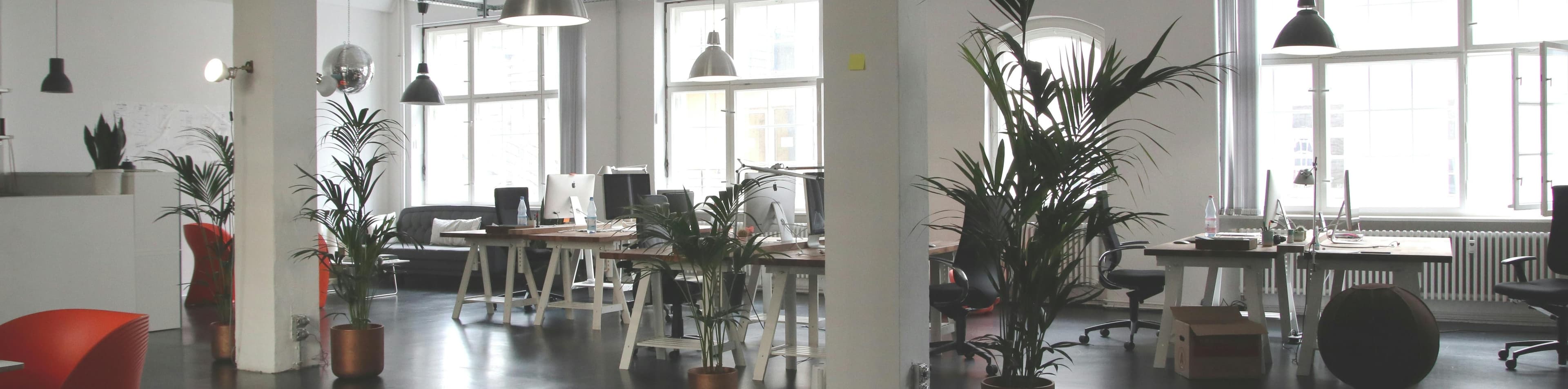 Finques Carbó - Agencia inmobiliaria en Girona
