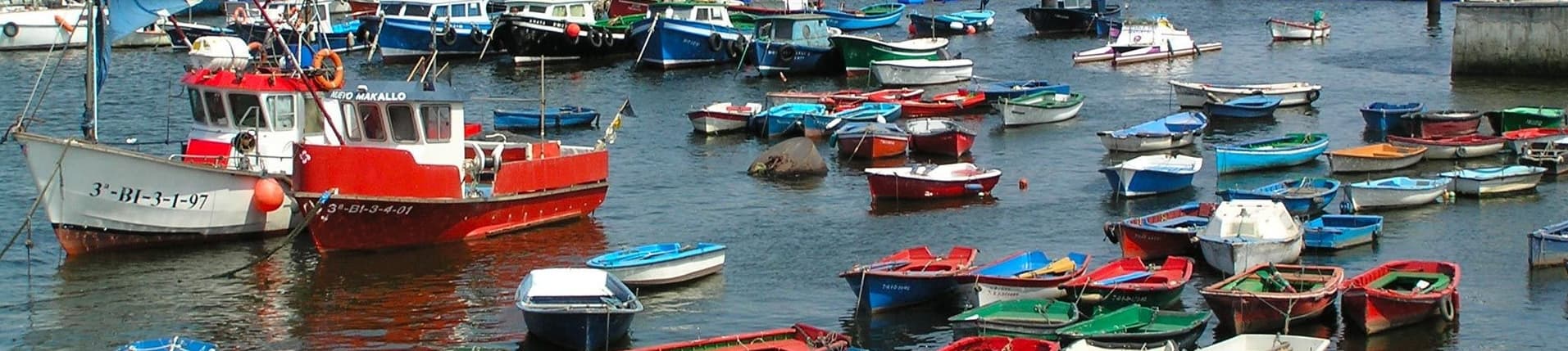 Olga Martín Martín  - Agente inmobiliario en Santurce