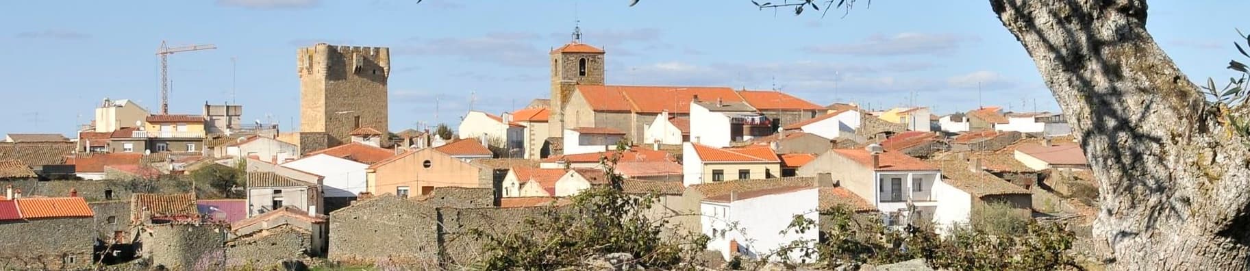 Eva Campos SLU - Agencia inmobiliaria en Santa Cruz de Tenerife