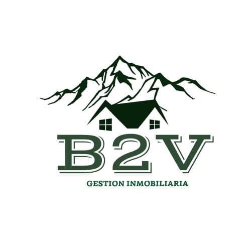B2V GLOBAL