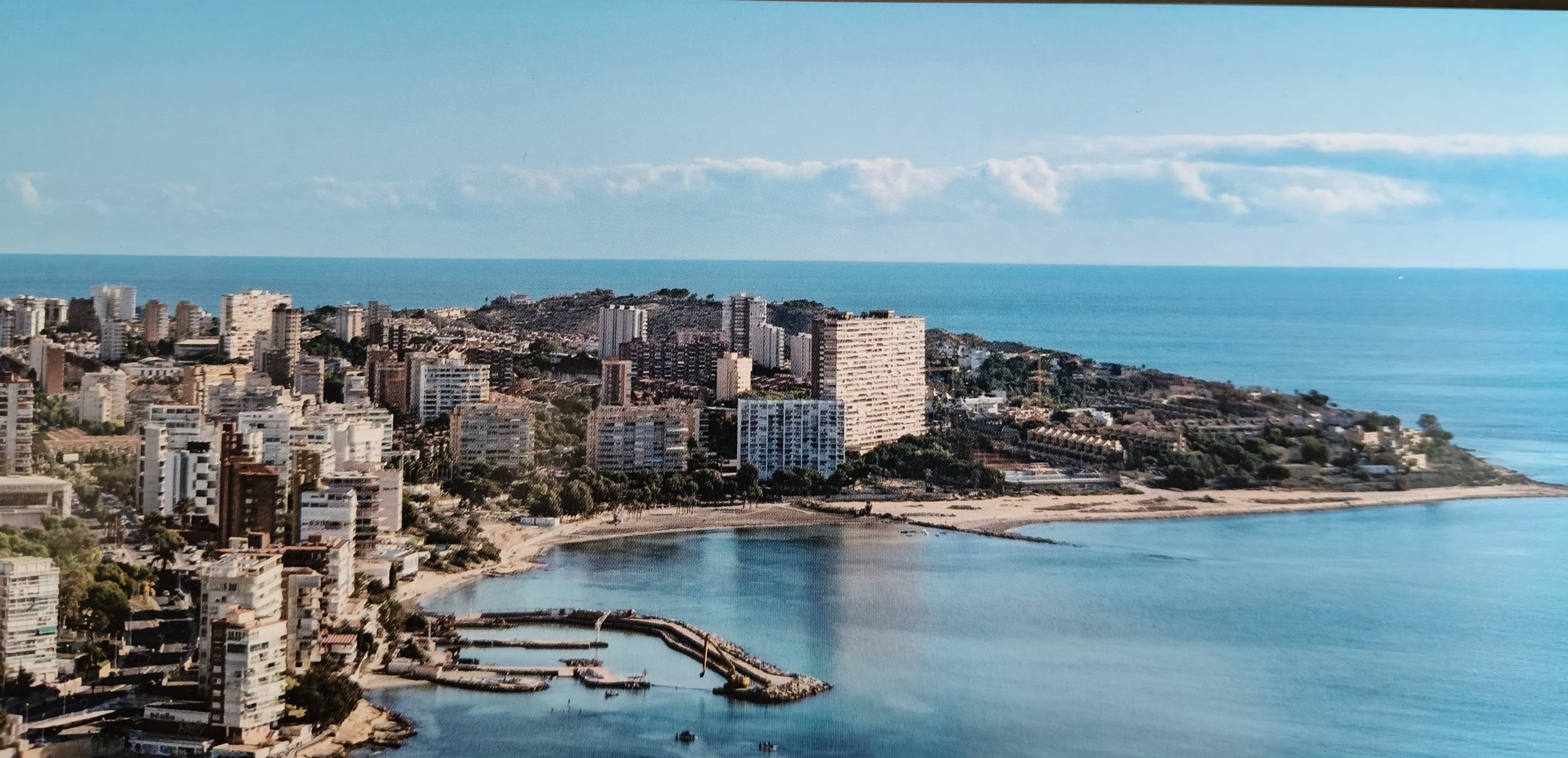 Vanessa Lynn Junge - Agencia inmobiliaria en Monòver