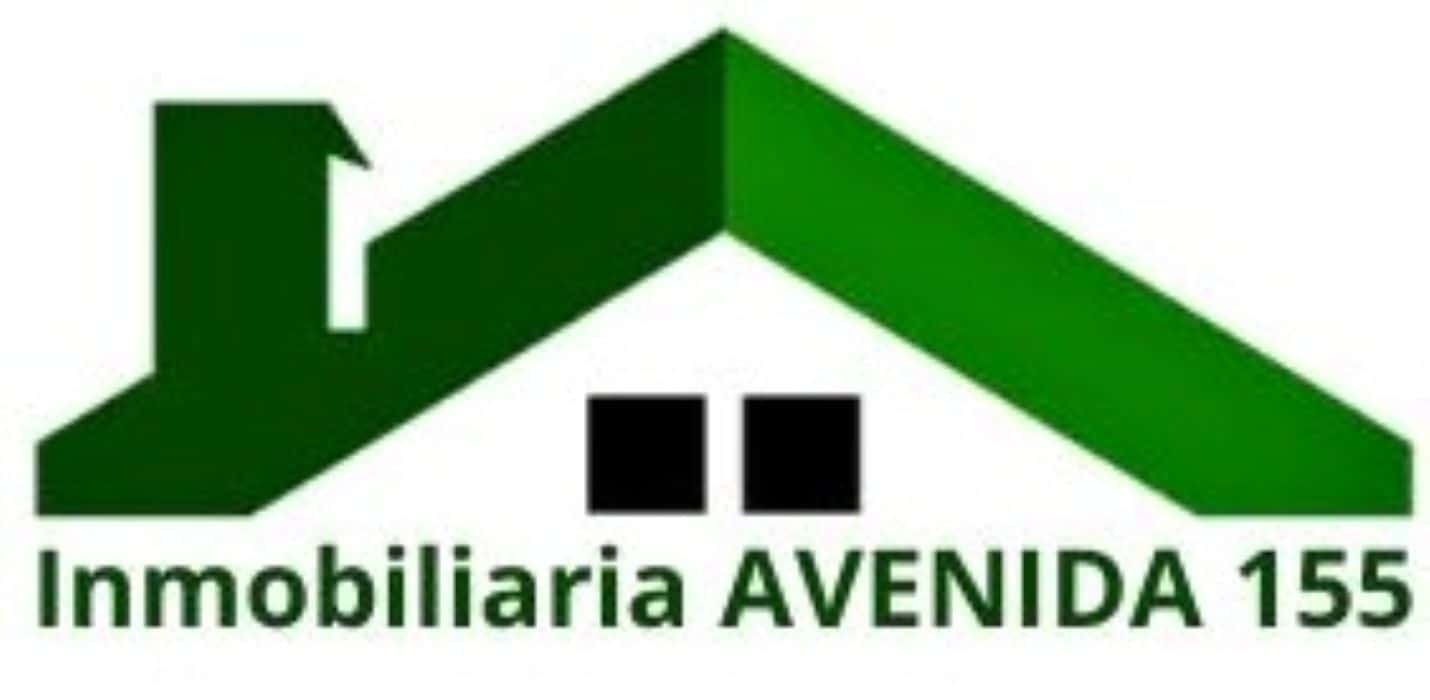 Inmobiliaria Avenida 155