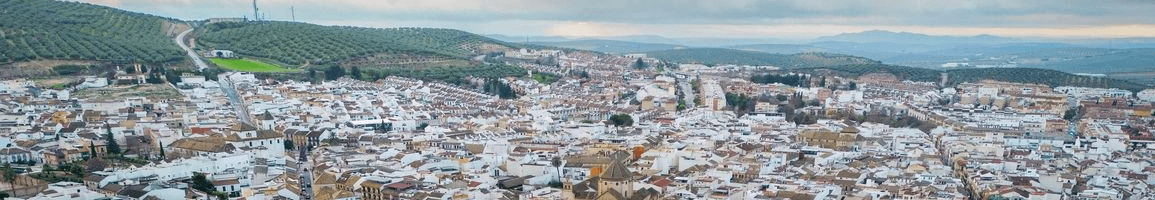 Cristian Carrasco Luna - Agente inmobiliario en Lucena