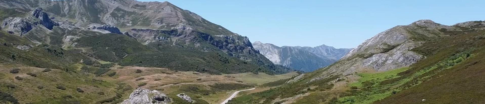 Saul Fajardo Gomez - Agente inmobiliario en León