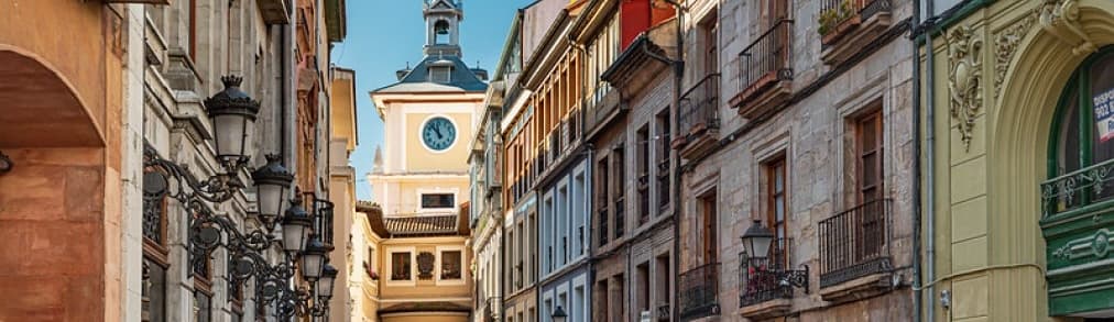 Mirene Estate - Agencia inmobiliaria en Langreo