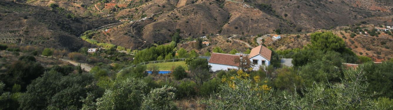 Grapevine Properties - Agencia inmobiliaria en Guaro