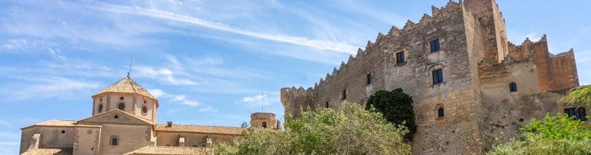 Carles Pijuan Jonama - Agente inmobiliario en Altafulla