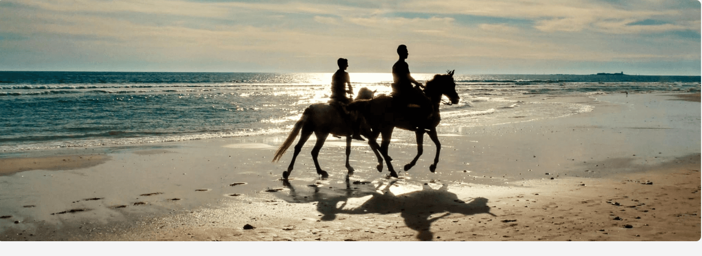 Altiora HomeStyle - Pablo Benítez Torres - Agencia inmobiliaria en Chiclana de la Frontera