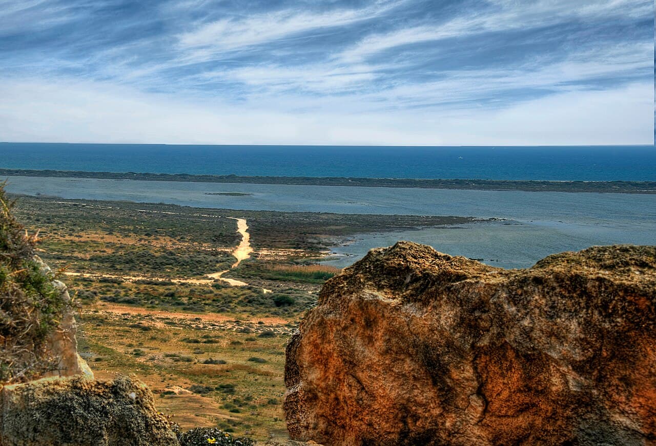 Cecilio Lirola Fernández - Agente inmobiliario en El Ejido