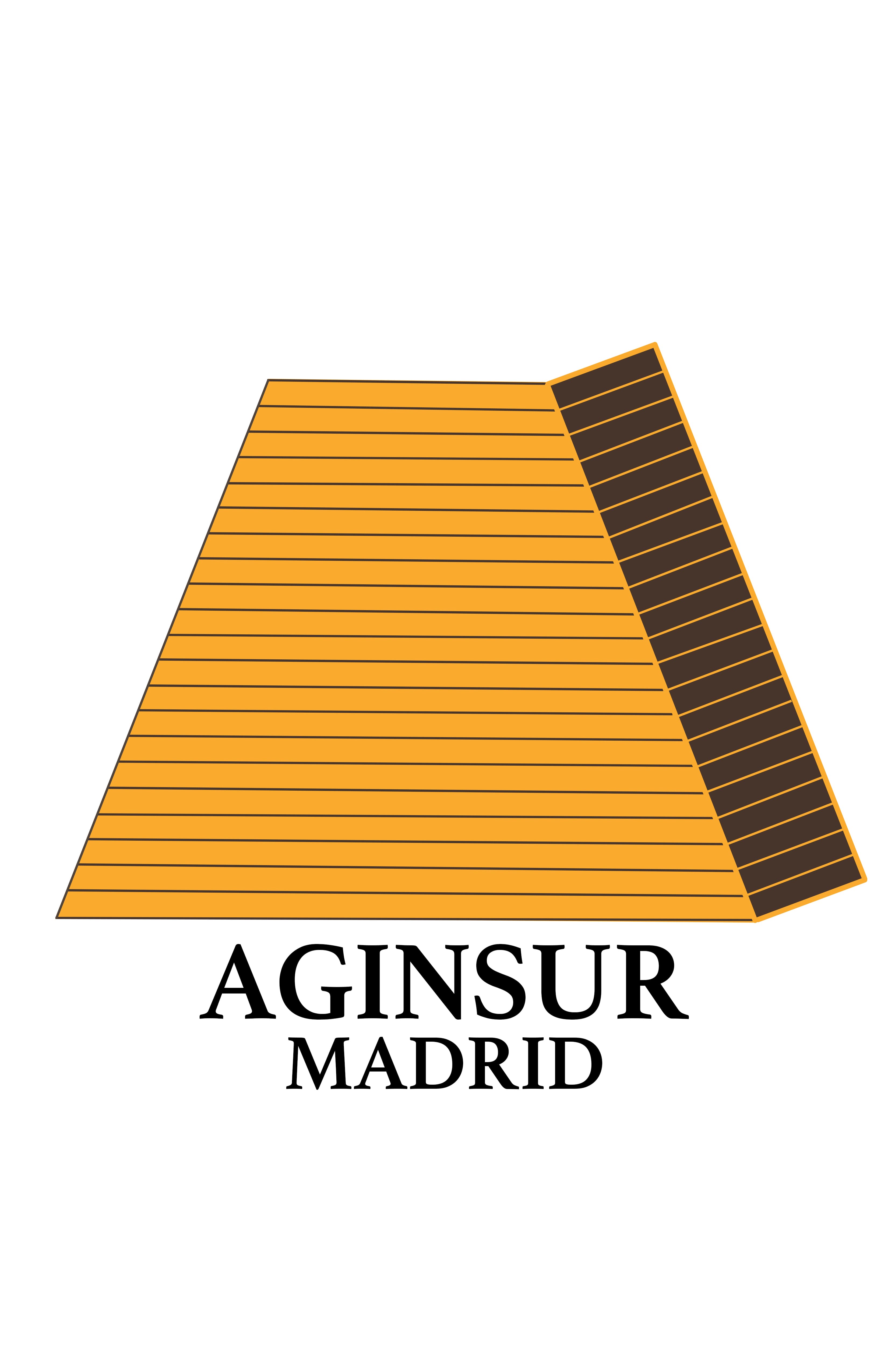 Aginsur Madrid
