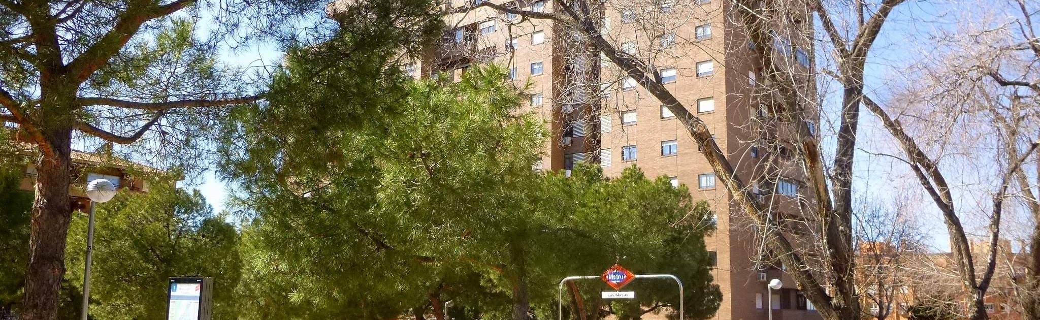 Fabiana Shymitzk Giagnacovo - Agente inmobiliario en Las Rozas de Madrid